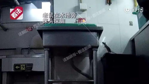 外賣,正在毀滅中國(guó)三代人,臥底拍下可怕真相